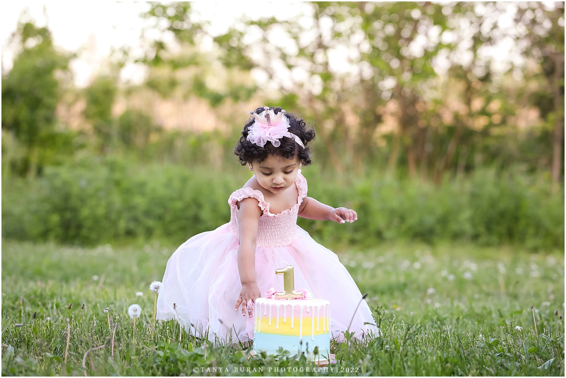 Outdoor Cake Smash Session NJ Family Photographer First Birthday 